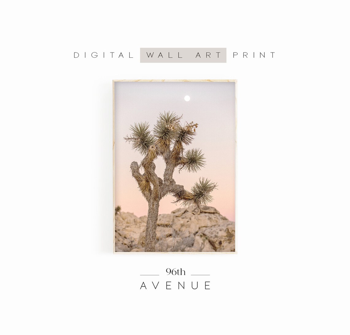 Joshua Tree California Southwest Desert Art Print
