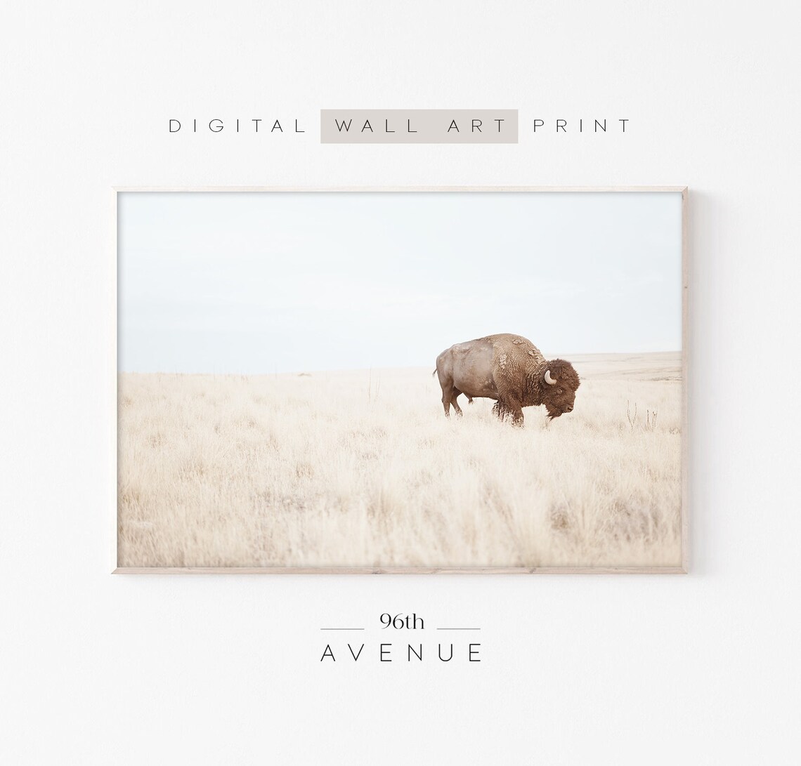 Bison Western Wall Art Decor, Poster Print