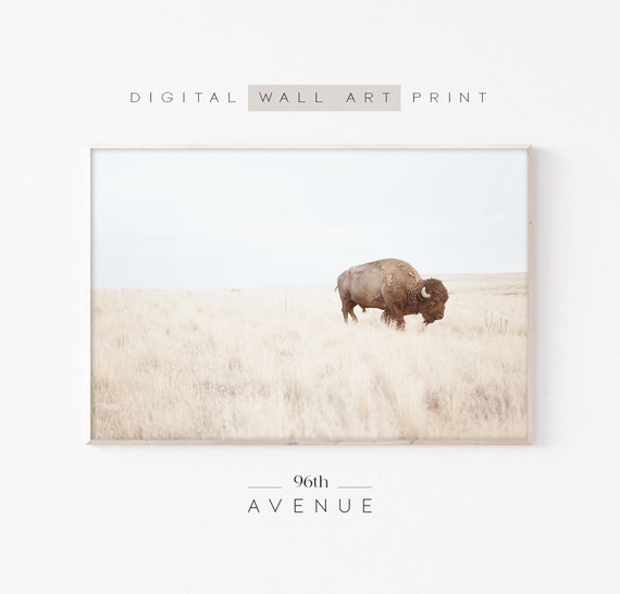 Bison Western Wall Art Decor, Poster Print