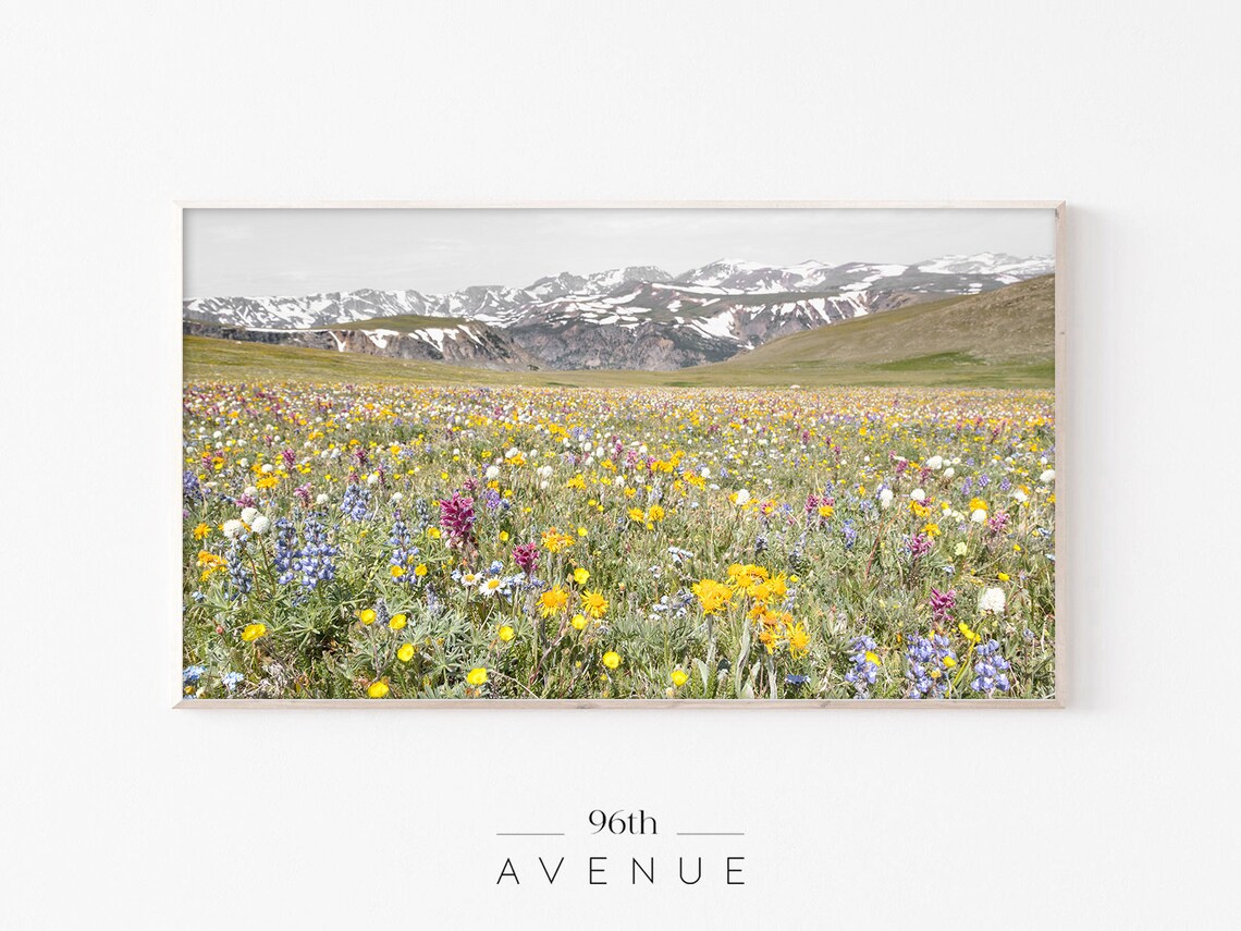 Spring Flower Field Botanical Wall Art Print