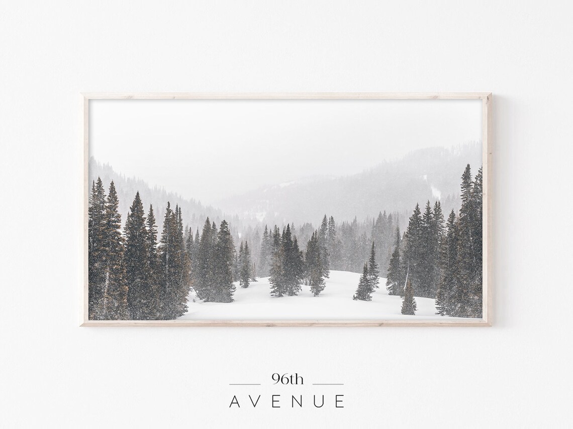 Snowy Mountain Valley Tall Pines Misty Winter Photography Poster