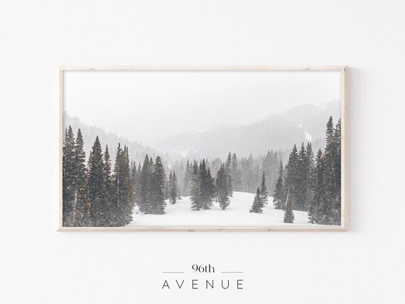 Snowy Mountain Valley Tall Pines Misty Winter Photography Poster