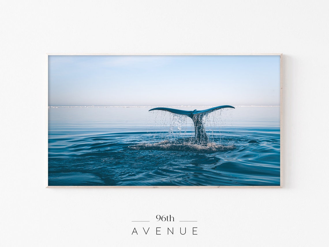 Whale Tail Coastal TV Art Print
