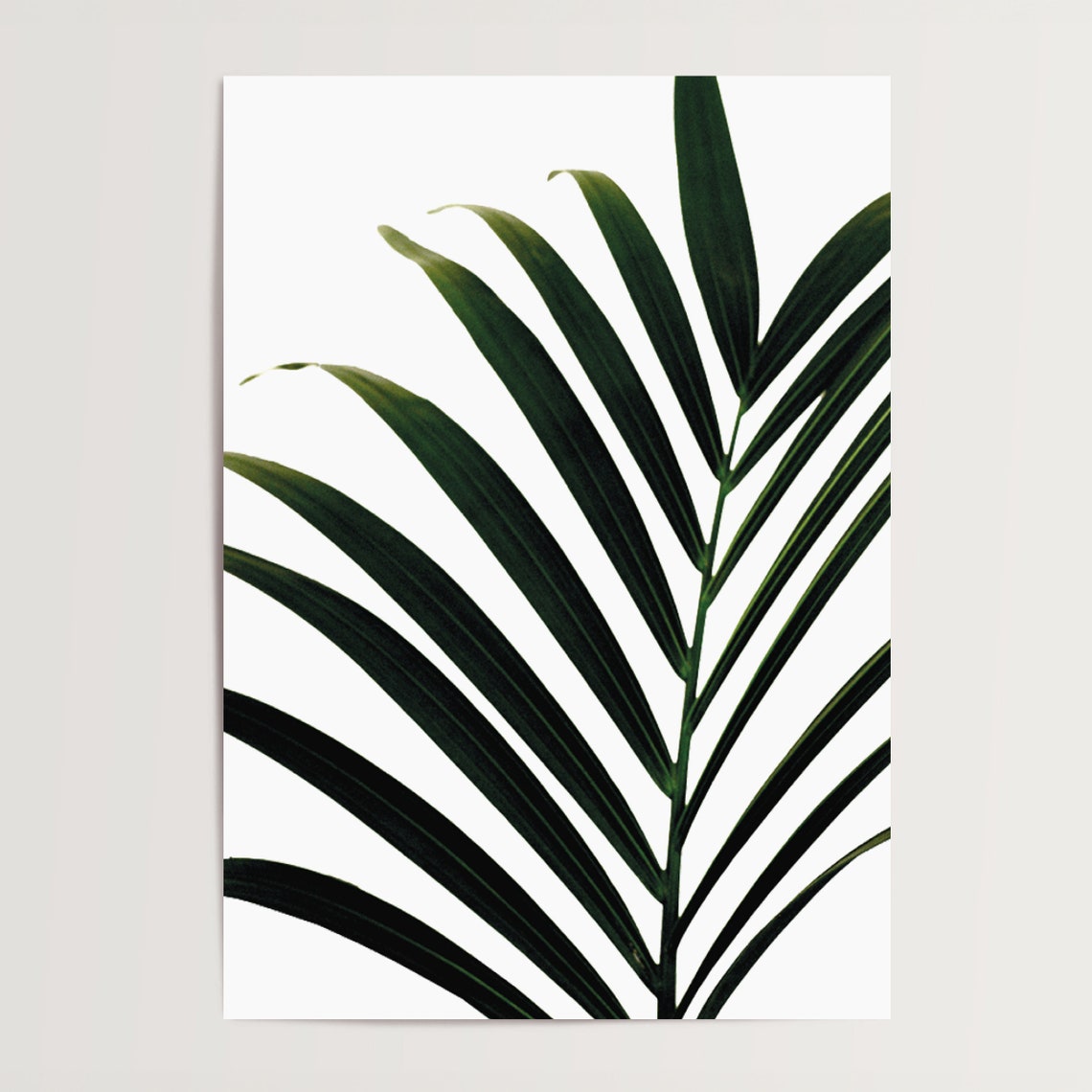 Palm Leaf Botanical Minimalist Tropical Photography Art Poster - Image 4