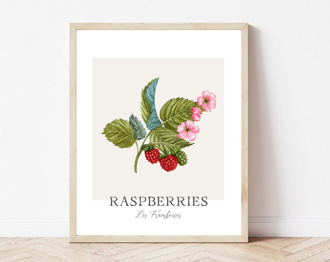 Raspberries Watercolor Botanical Kitchen Art Print