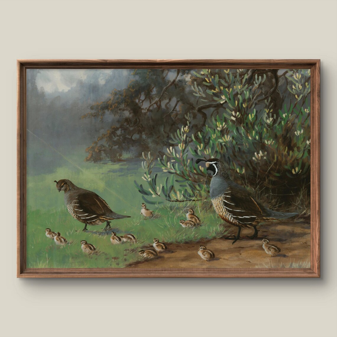 California Quail Family with Chicks Antique Bird Painting Poster