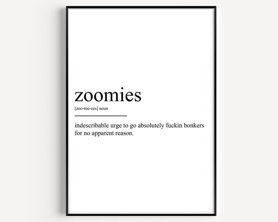 Zoomies Definition Poster Print