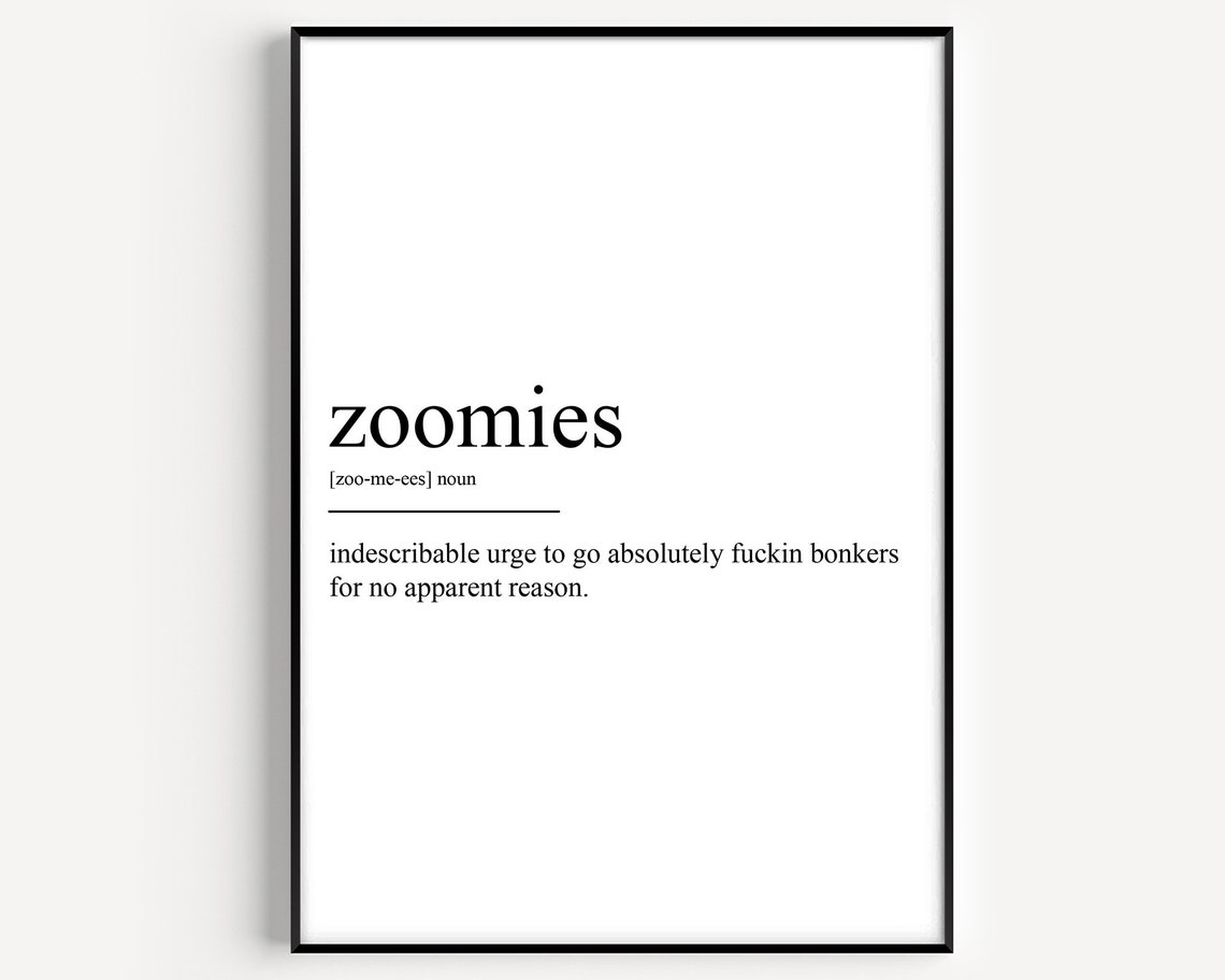Zoomies Definition Poster Print