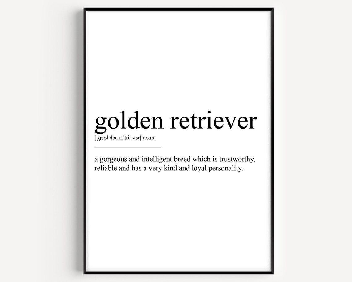 Golden Retriever Definition Art Print