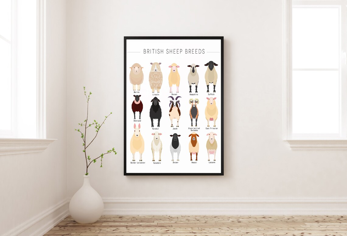 British Sheep Breeds Art Print, Farm Animal Study
