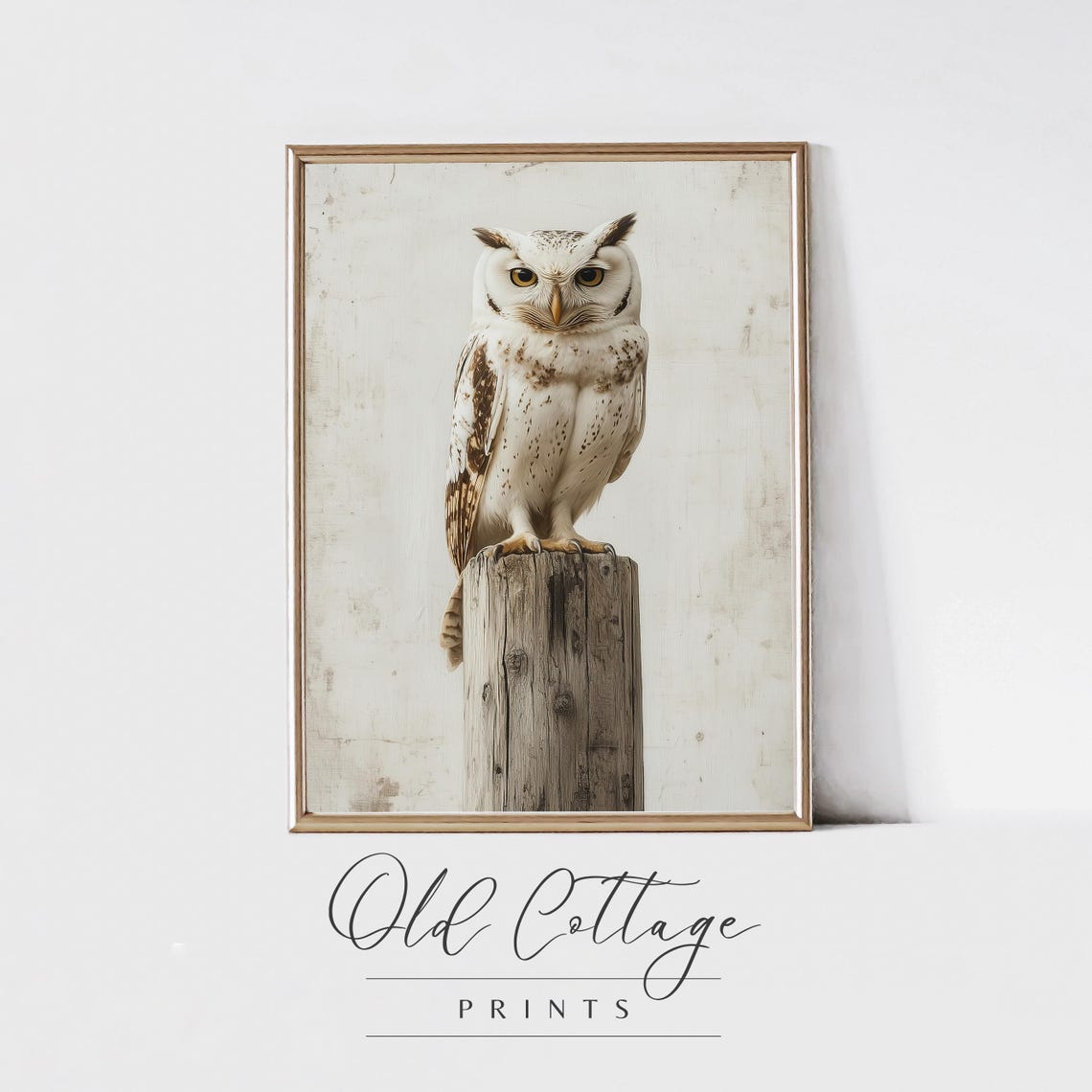 Speckled White Owl on Wooden Post Rustic Wildlife Decor Poster