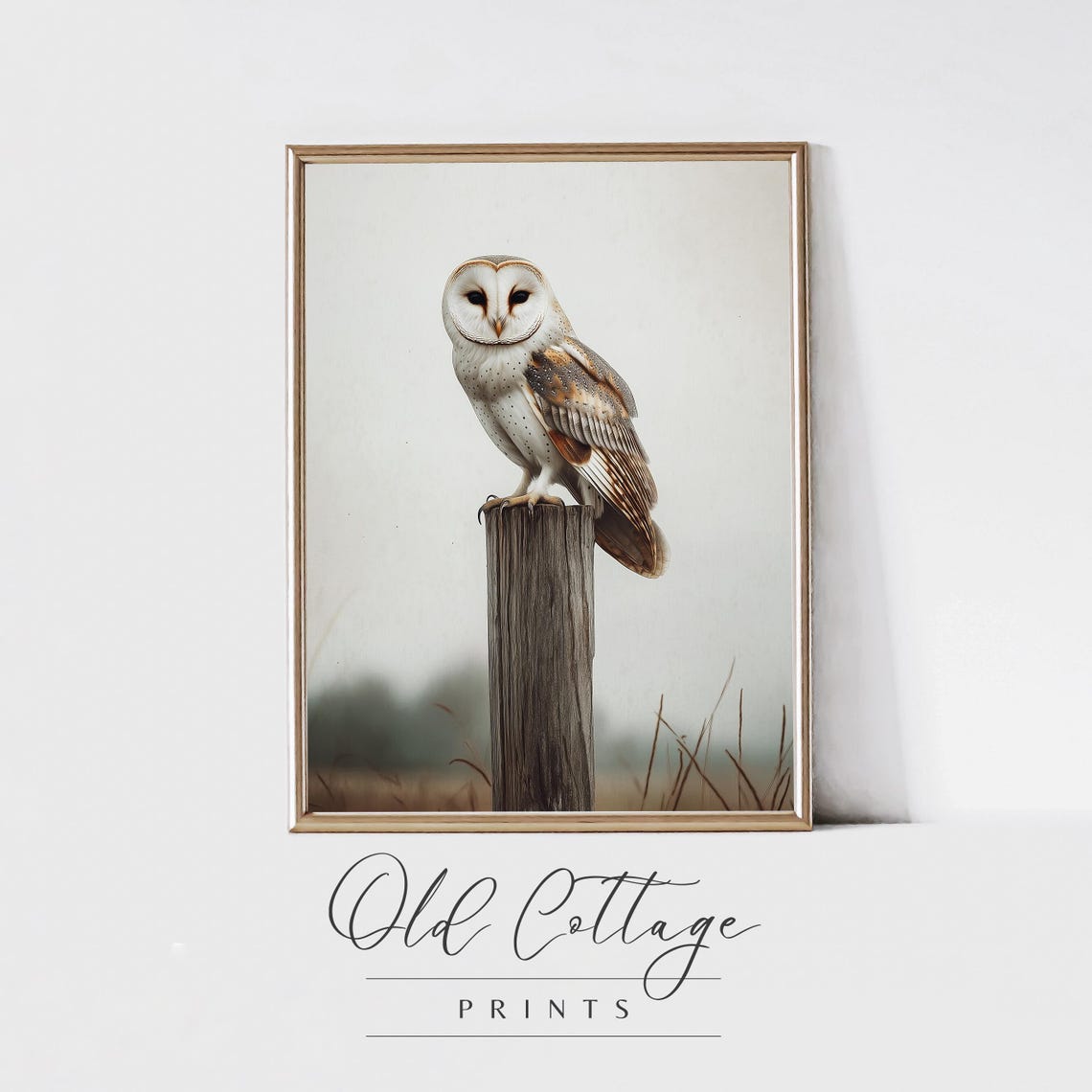 Rustic Barn Owl on Wooden Post Serene Wildlife Nature Poster