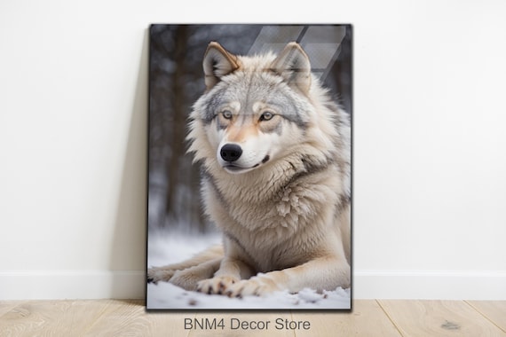 White Wolf Lying in Snow Winter Forest Animal Portrait Wall Art