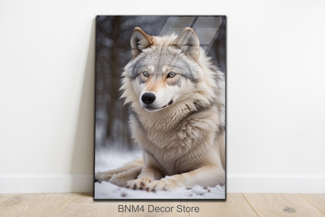 White Wolf Lying in Snow Winter Forest Animal Portrait Wall Art