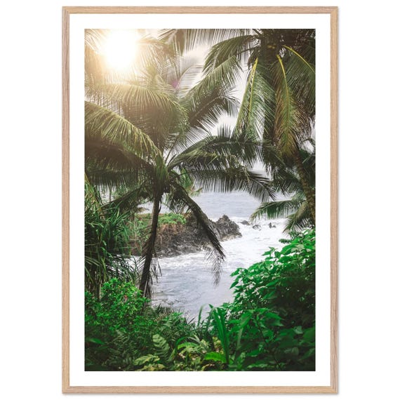 Framed Hawaiian Coastline Print Tropical Beach Photo Art