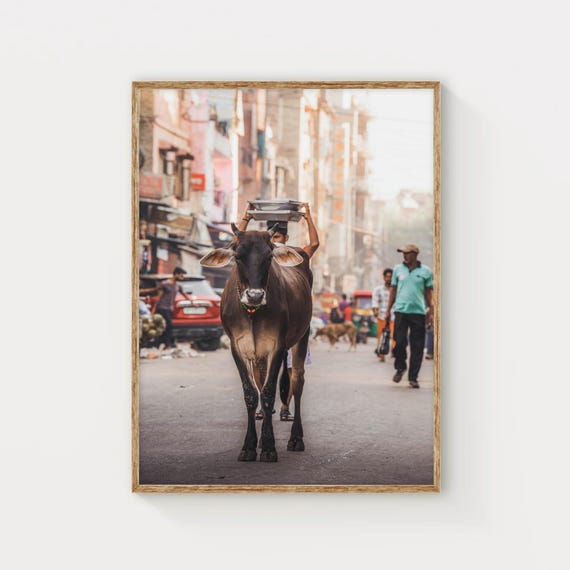 India Street Print Vibrant Photography Of Daily Life Urban Street Art For Bohemian Eclectic Or Rustic Home Decor India Wall Art