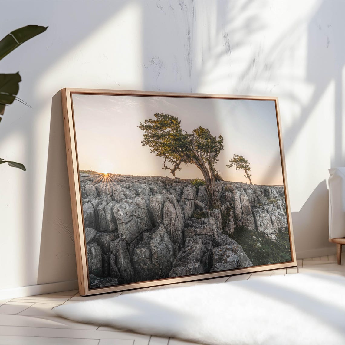 Windswept Trees on Ancient Limestone Pavement Golden Sunset Poster - Image 3