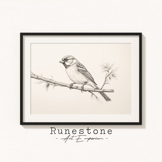 Sparrow Bird Illustration Spring Wall Art Minimal Animal Portrait Pencil Drawing Decor Neutral Print