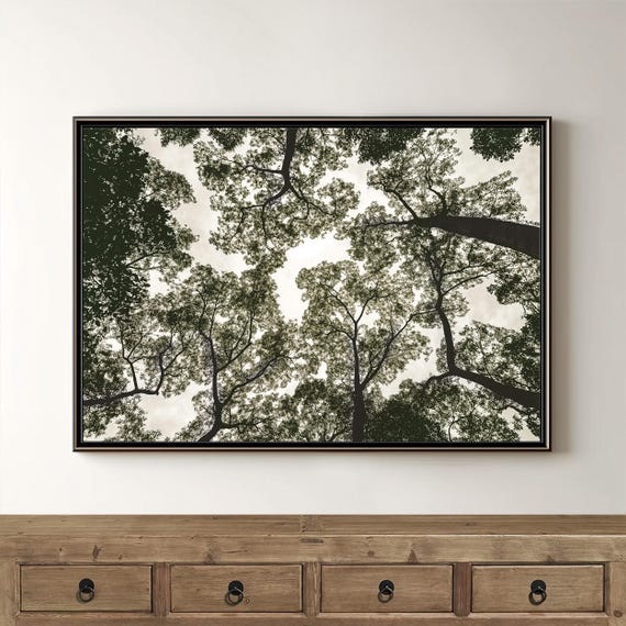 Tree Canopy Photo Art, Abstract Forest Nature