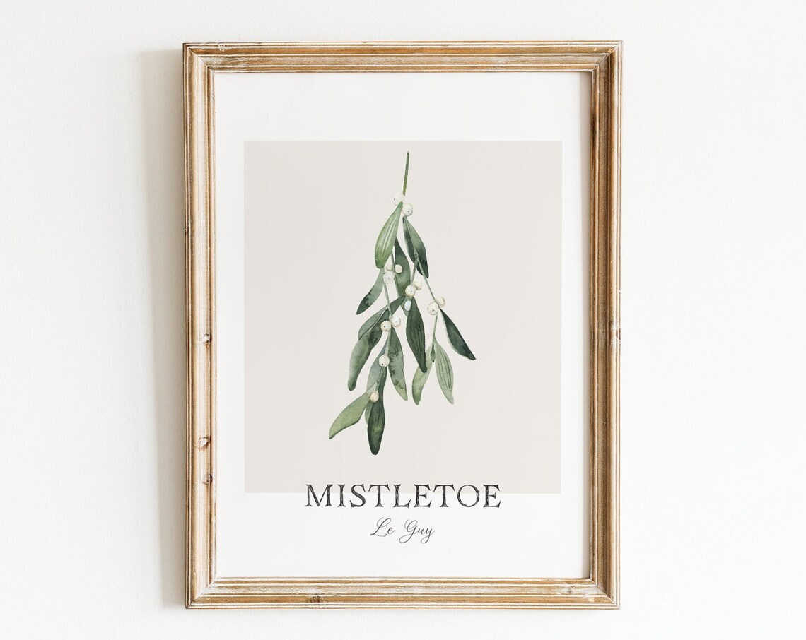 Watercolor Mistletoe Botanical Print Green White Christmas Wall Art