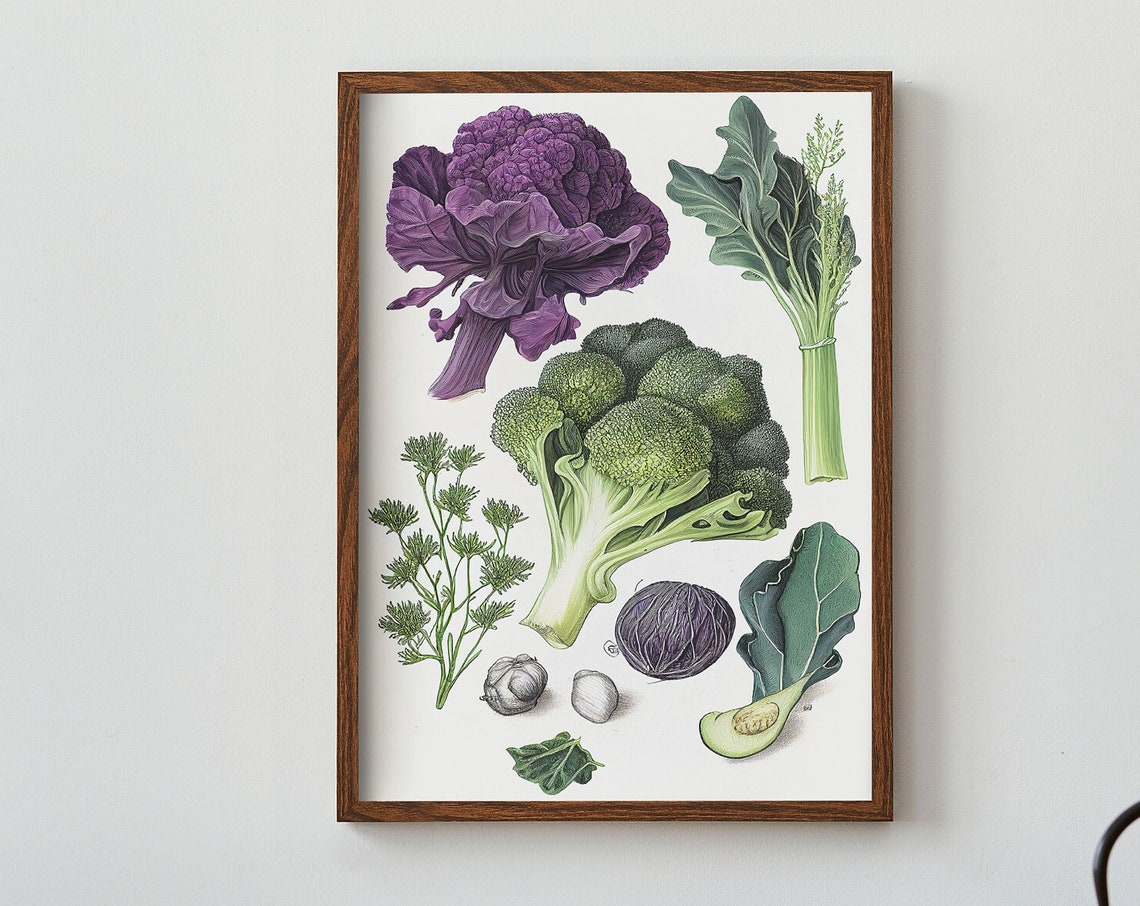 Cruciferous Vegetables Botanical Sketch Broccoli Chart Wall Poster