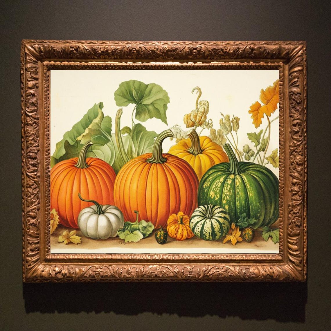 Pumpkins And Squash Harvest Illustration Vintage Botanical Poster - Image 3