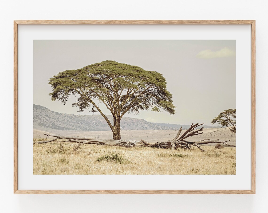 Misty Green Forest Mountain Art Print - Image 2