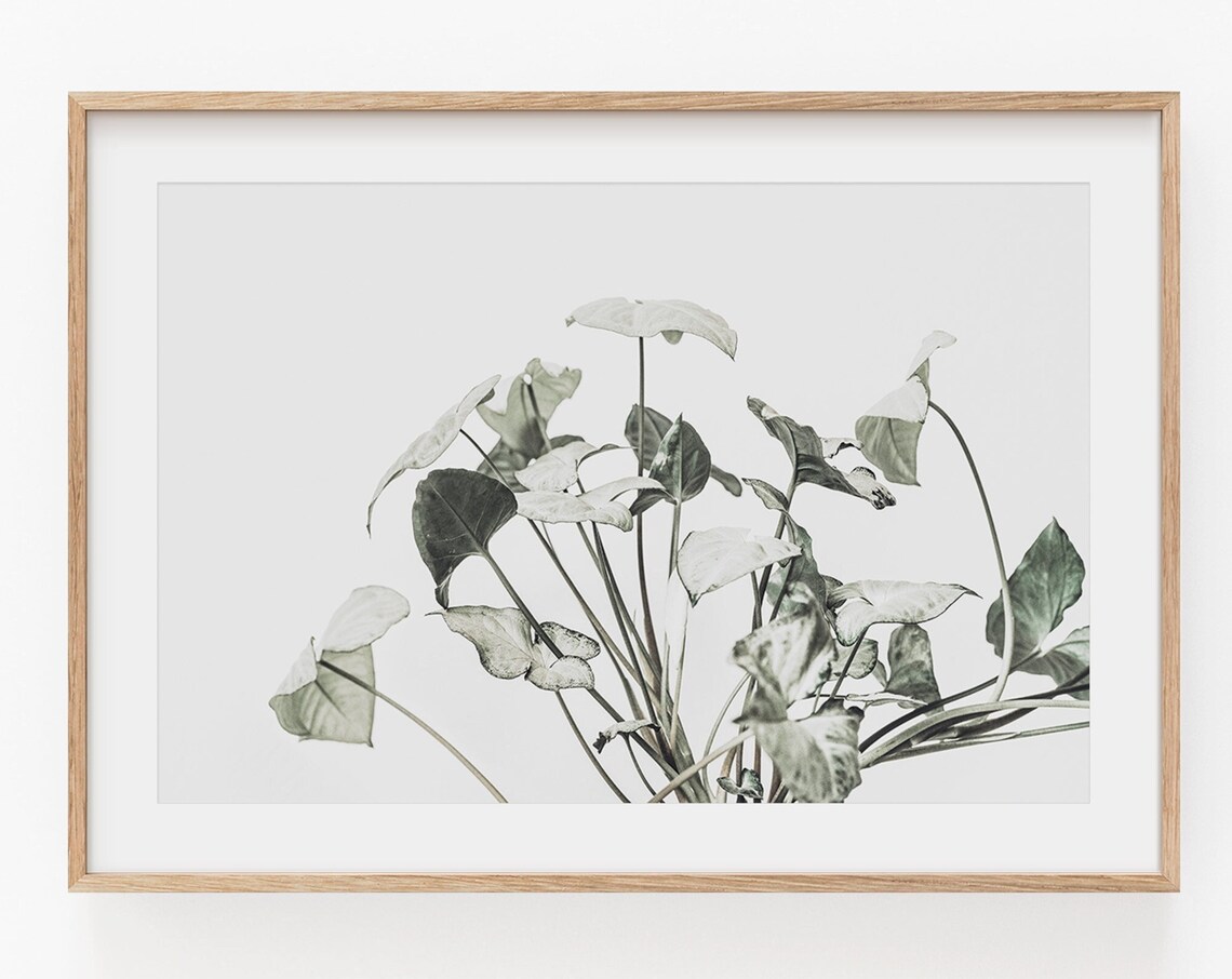 Botanical Farmhouse Art Print, Horizontal Plant Art