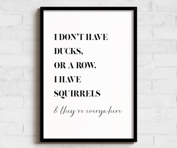I Have Squirrels Everywhere Funny Quote Black White Silly Poster