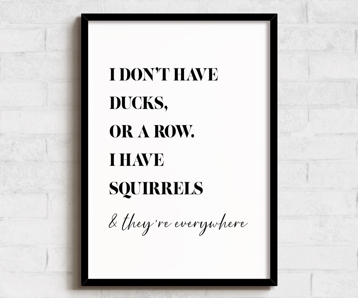 I Have Squirrels Everywhere Funny Quote Black White Silly Poster