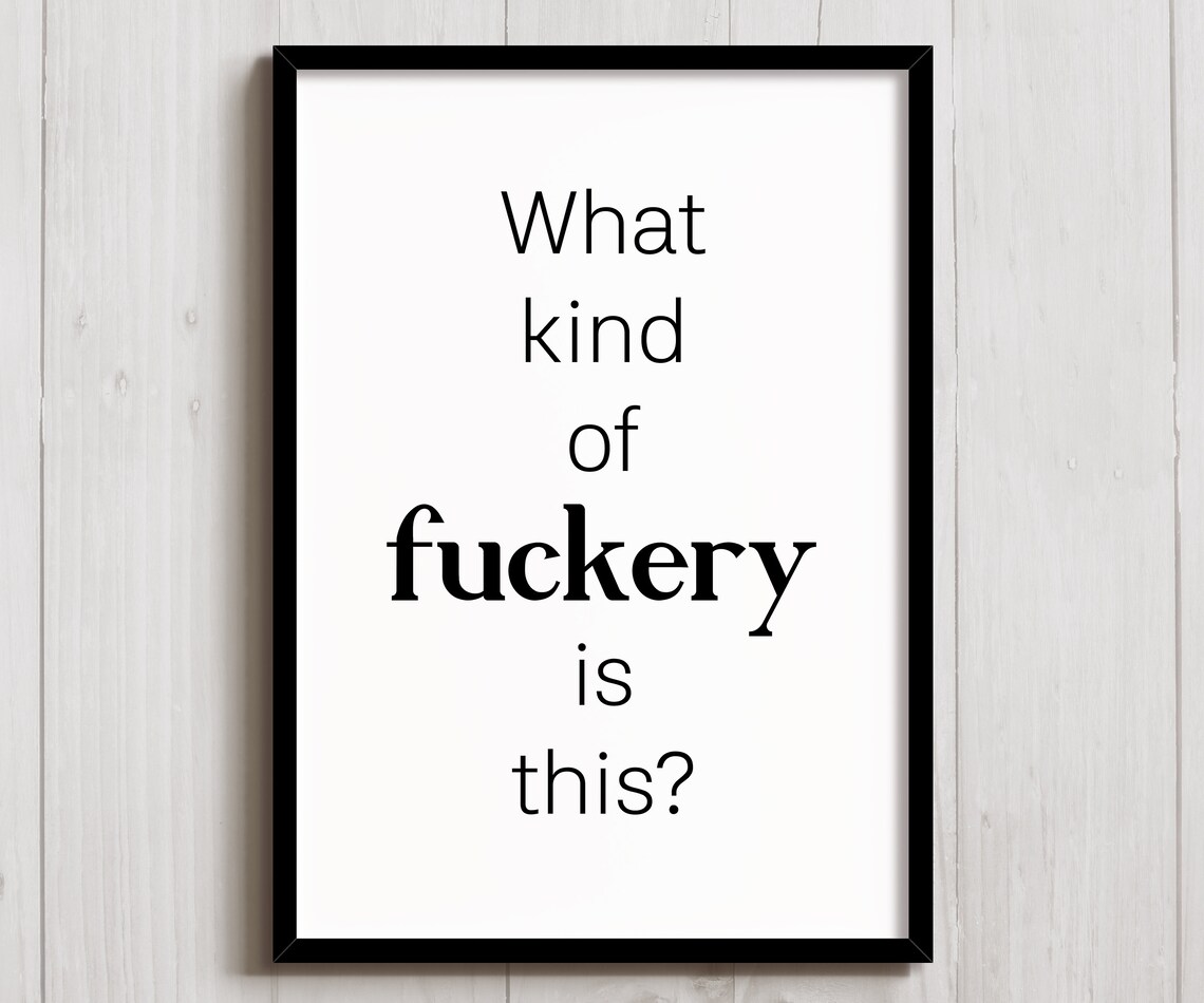 What Kind Of Fuckery Is This Funny Poster