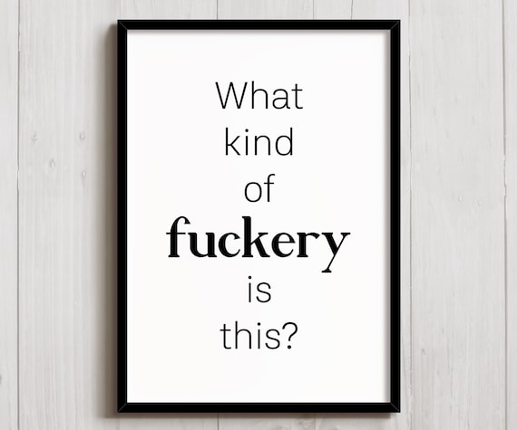 What Kind Of Fuckery Is This Funny Poster