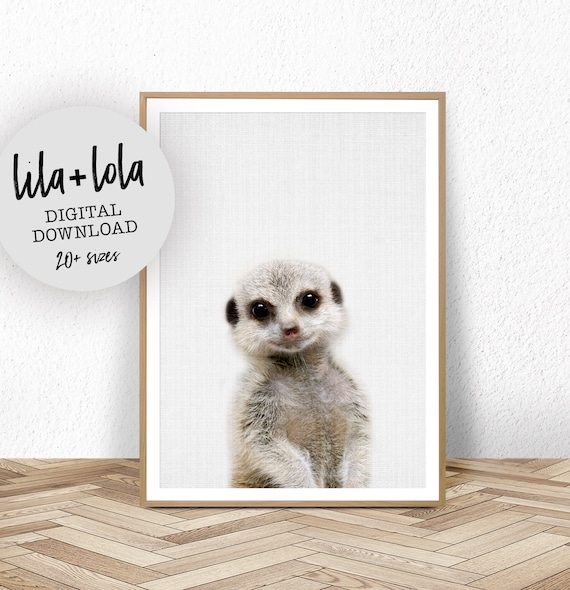 Baby Meerkat Art Print, Safari Nursery Decor
