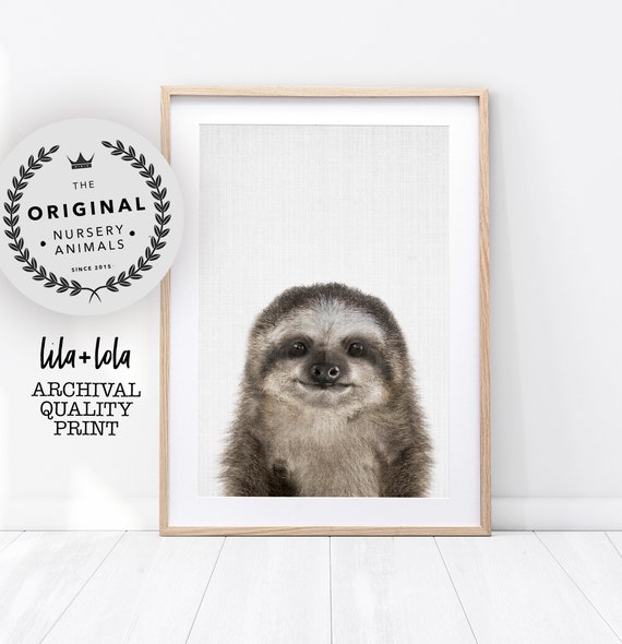 Sloth Print Nursery Wall Art Baby Animal Prints Printed And Shipped Kids Room Poster