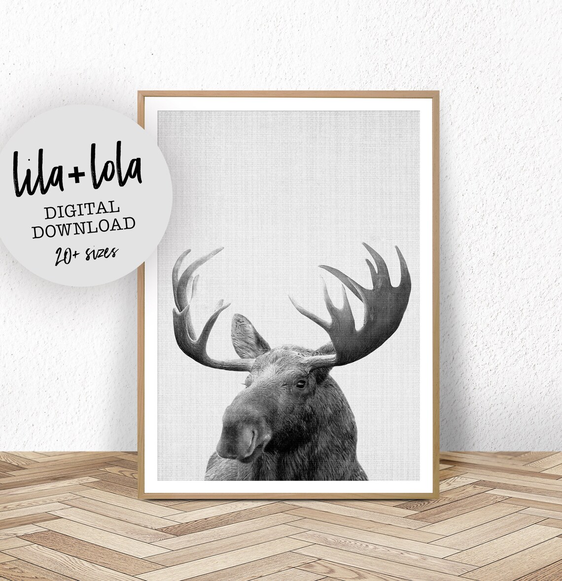 Moose Black And White Animal Art Print