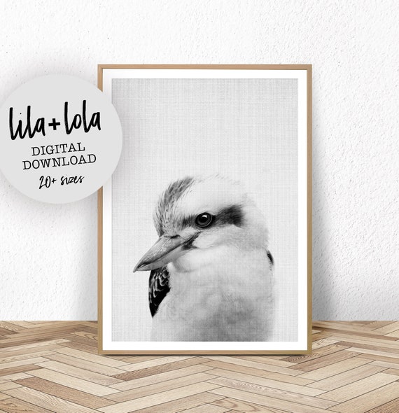 Kookaburra Print, Australian Animal Nursery Decor