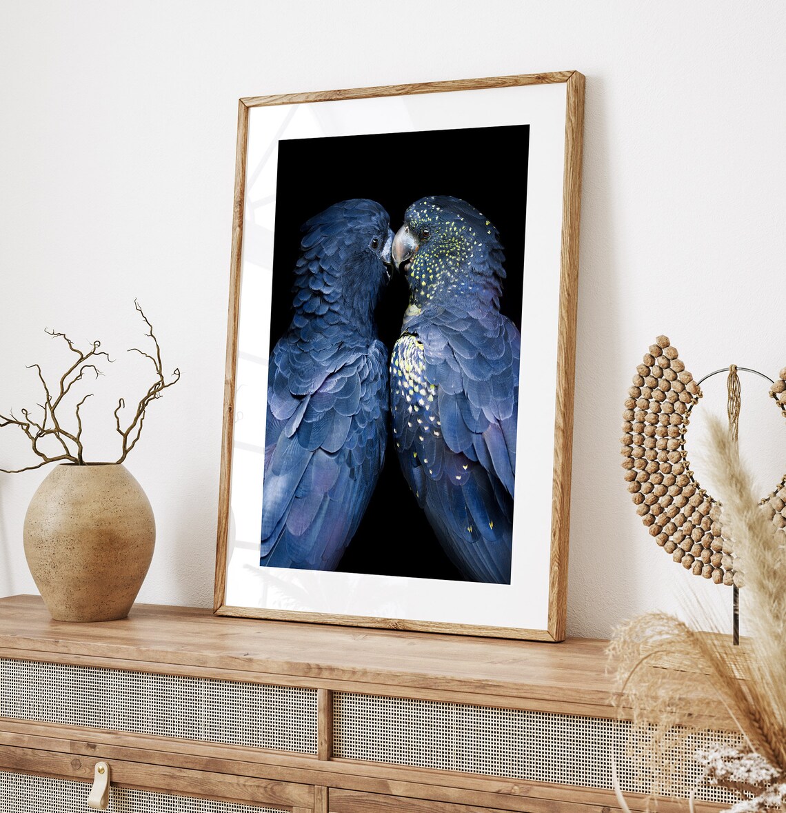 Black Cockatoo Photography Art Print, Australian Bird