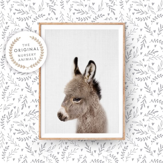 Baby Donkey Nursery Animal Art Print