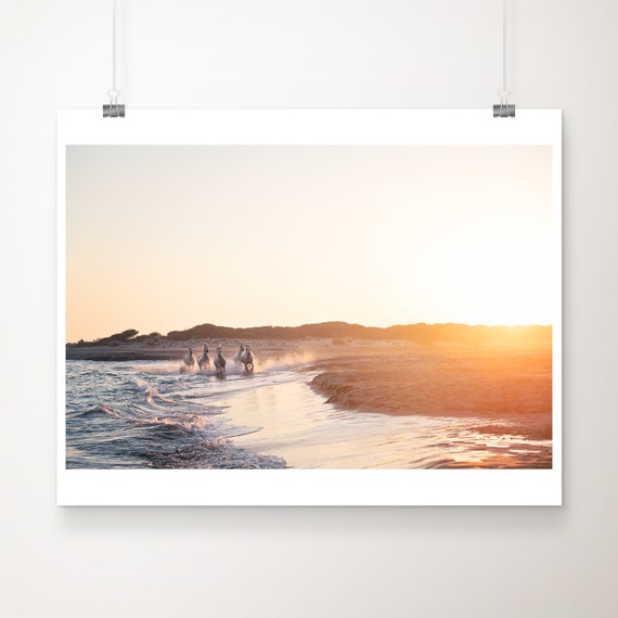 Camargue Horses Sunset Print Galloping Wild Photography