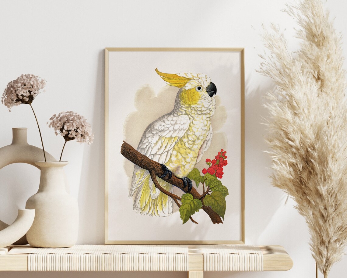 Sulphur Crested Cockatoo Vintage Bird Botanical Antique Art Poster - Image 3