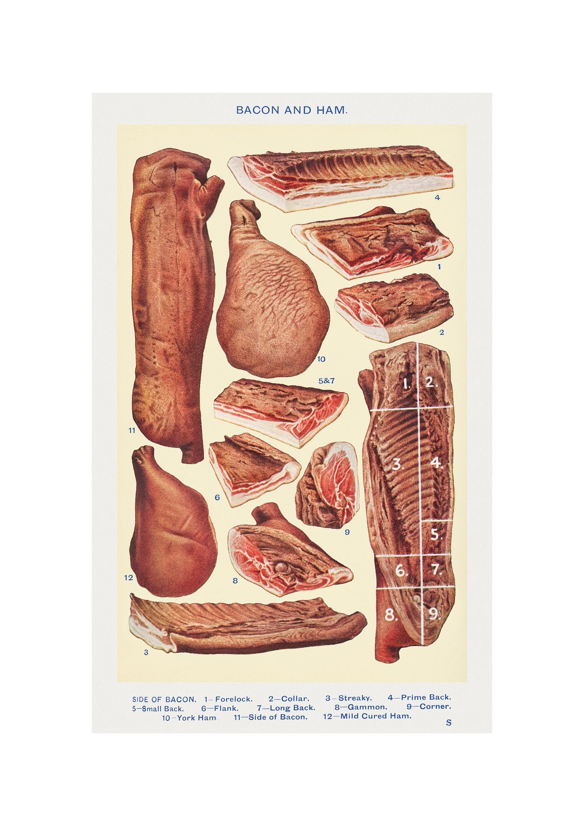 Bacon And Ham Antique Lithograph