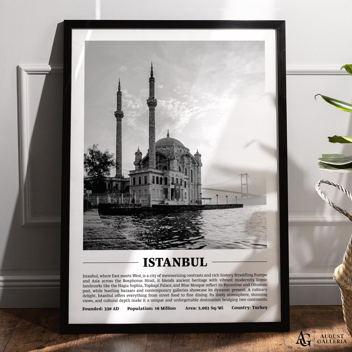 Istanbul Waterfront Mosque Black and White Bosphorus City Poster