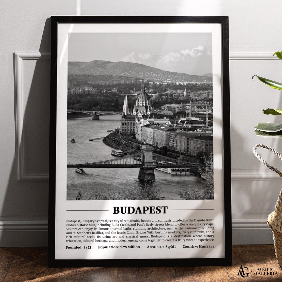 Budapest Chain Bridge and Danube Black and White City Travel Poster