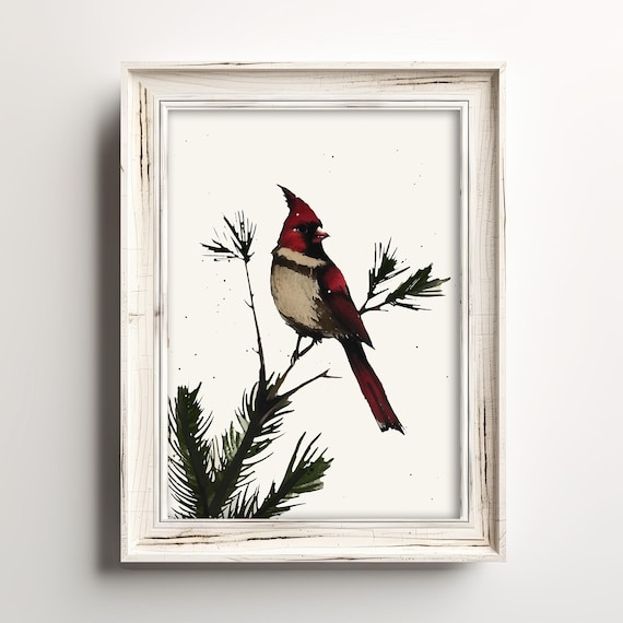 Red Cardinal on Pine Branch Loose Watercolor Winter Bird Art Print