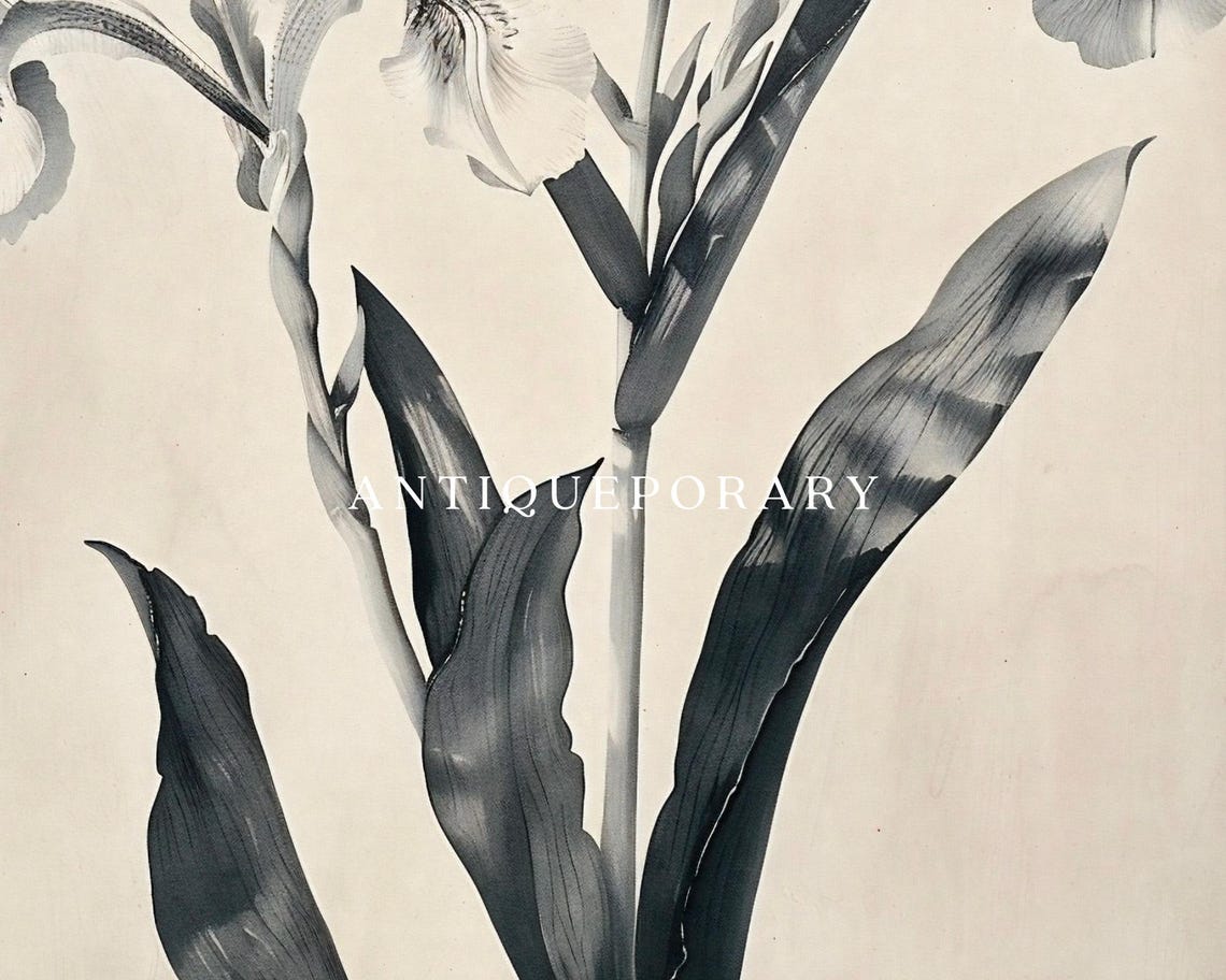 Vintage Botanical Lily Illustration Monochrome Antique Poster - Image 2