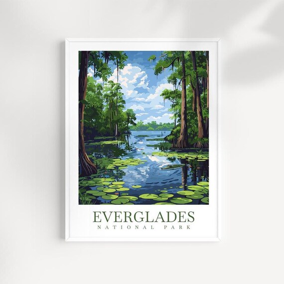 Everglades National Park Cypress Swamp Lily Pads Scenic Poster Art