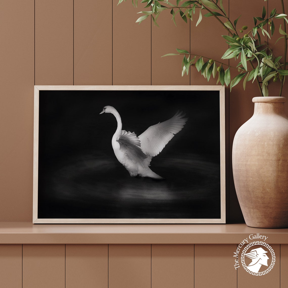 White Swan Taking Flight Dramatic Black And White Fine Art Photo Print