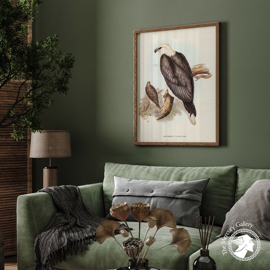 Vintage White-Bellied Sea Eagle Pair Antique Bird Of Prey Art Print - Image 5