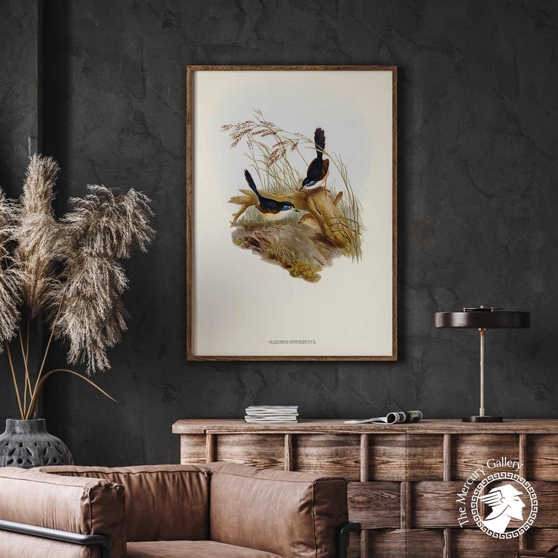 Fawn Breasted Superb Warbler Vintage Bird Illustration Art Print - Image 4