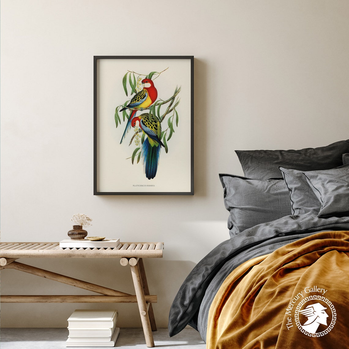 Eastern Rosella Rose Hill Parakeet Vintage Bird Illustration Print - Image 4